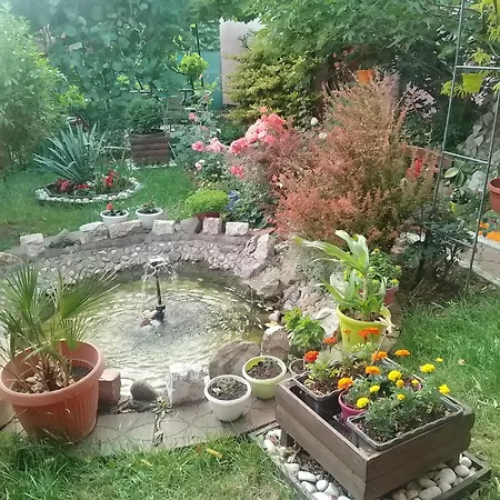 Mini Lux Апартаменты *