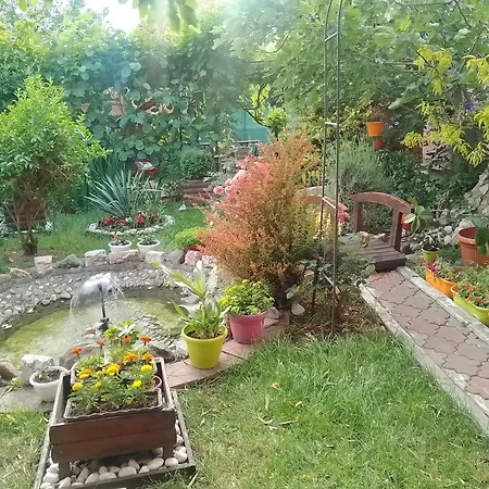 Mini Lux Пожаревац